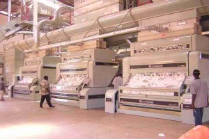 Natural Cotton from Cameroon